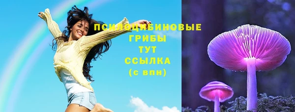 наркотики Белокуриха